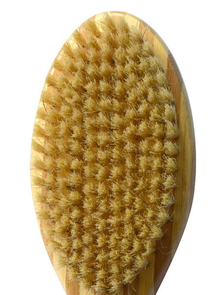 Bamboo Pet Brush